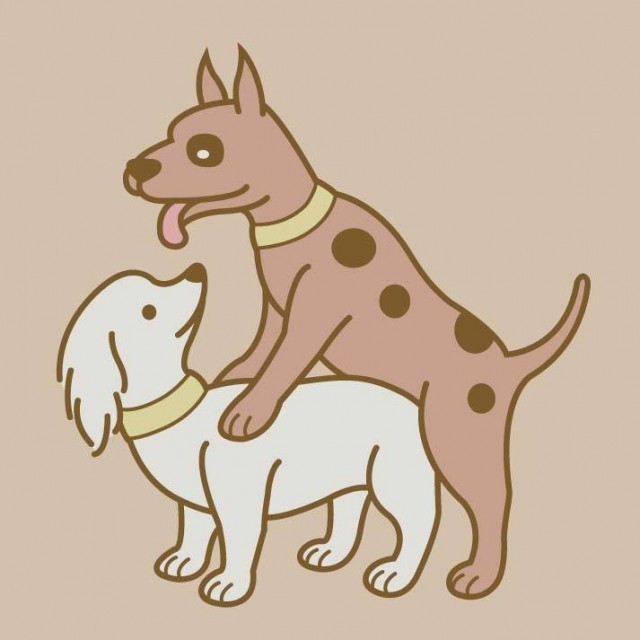 Dog Doggy Style Porn - Thank Dogs for Doggy Styleâ€ Fundraising Campaign for National Pet Month |  Candy.porn